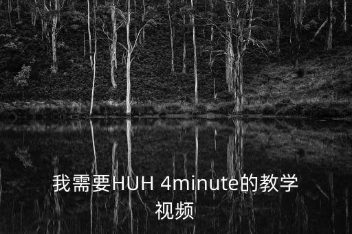 我需要HUH 4minute的教学视频