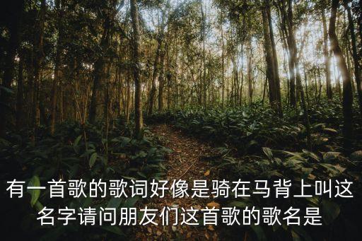 有一首歌的歌词好像是骑在马背上叫这名字请问朋友们这首歌的歌名是