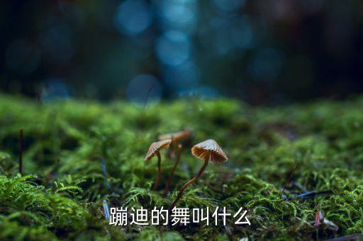 蹦迪的舞叫什么