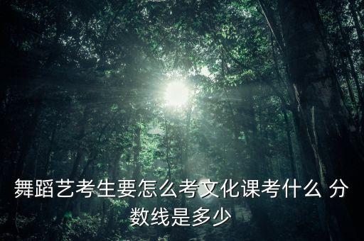 舞蹈艺考生要怎么考文化课考什么 分数线是多少