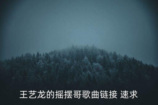 王艺龙的摇摆哥歌曲链接 速求