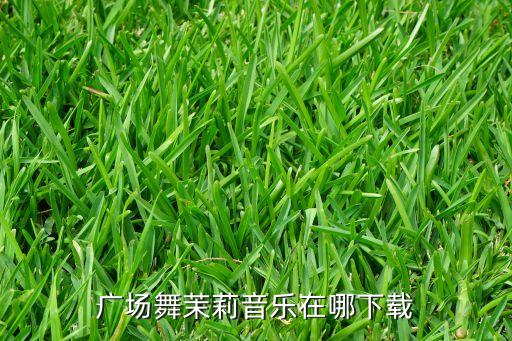 广场舞茉莉音乐在哪下载