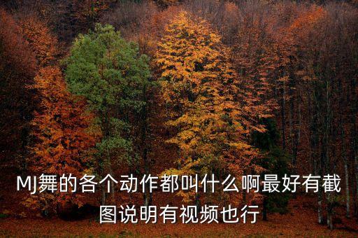 MJ舞的各个动作都叫什么啊最好有截图说明有视频也行