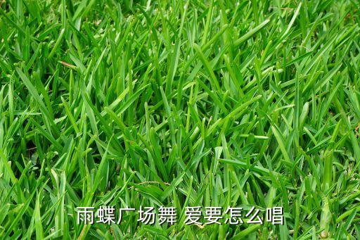 99广场舞爱要怎么唱，青馨明月广场舞 爱要怎么唱