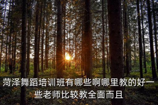 菏泽舞蹈培训班有哪些啊哪里教的好一些老师比较教全面而且