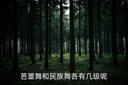芭蕾舞和民族舞各有几级呢