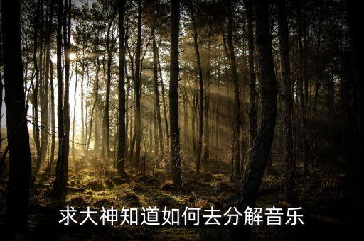 求大神知道如何去分解音乐