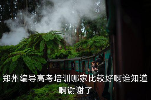 郑州编导高考培训哪家比较好啊谁知道啊谢谢了