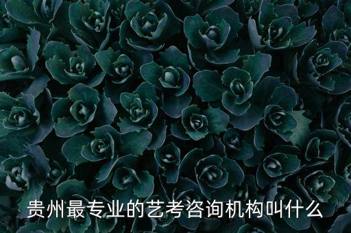 贵州最专业的艺考咨询机构叫什么