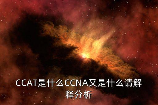 CCAT是什么CCNA又是什么请解释分析