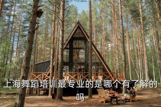上海舞蹈培训最专业的是哪个有了解的吗