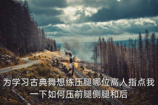 为学习古典舞想练压腿哪位高人指点我一下如何压前腿侧腿和后