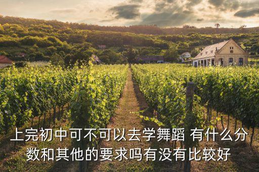 上完初中可不可以去学舞蹈 有什么分数和其他的要求吗有没有比较好
