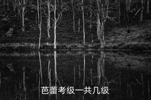 芭蕾基训考级有哪些，金芭蕾有哪种考级的吗这里有证书吗