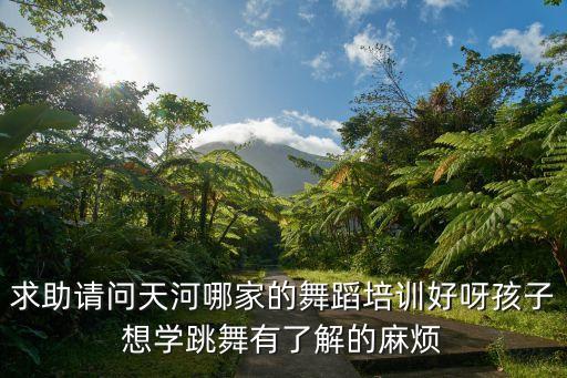 求助请问天河哪家的舞蹈培训好呀孩子想学跳舞有了解的麻烦
