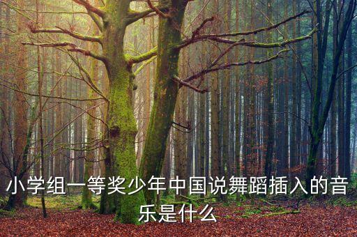 少年中国说舞蹈视频小学生扇子舞，小学组一等奖少年中国说舞蹈插入的音乐是什么