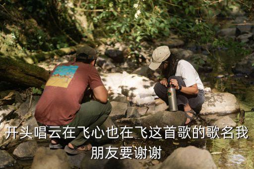 开头唱云在飞心也在飞这首歌的歌名我朋友要谢谢