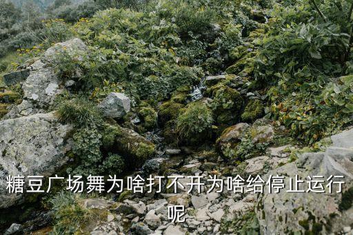 糖豆广场舞为啥打不开为啥给停止运行呢