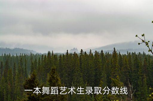 舞蹈艺考2020分数线是多少，舞蹈科艺术生高考省分数线是多少分