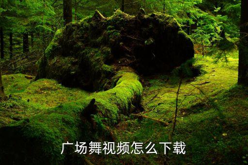 广场舞视频怎么下载