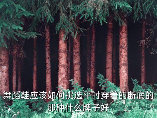 舞蹈鞋应该如何挑选平时穿着的断底的那种什么牌子好