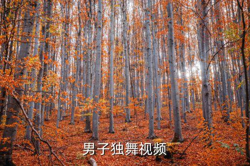 男子独舞视频