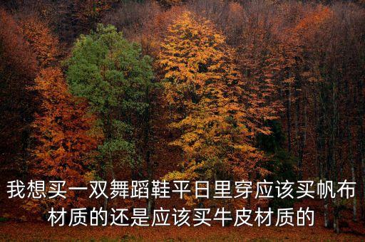 我想买一双舞蹈鞋平日里穿应该买帆布材质的还是应该买牛皮材质的