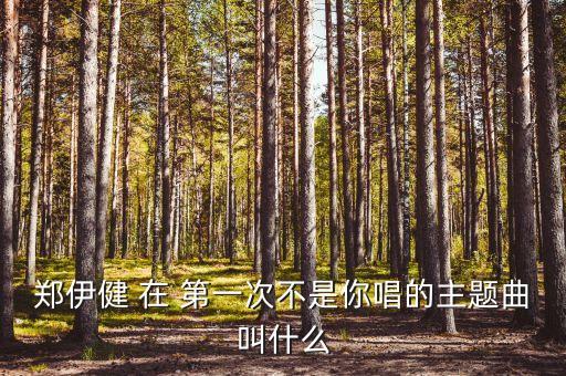 郑伊健 在 第一次不是你唱的主题曲叫什么