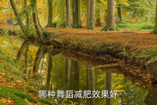 什么舞蹈减肥效果最好，减肥最好的舞蹈
