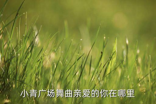 小青广场舞曲亲爱的你在哪里