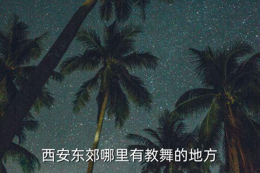 西安哪里有教韩舞的，西安东郊哪里有教舞的地方