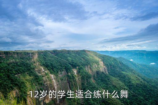 12岁的学生适合练什么舞