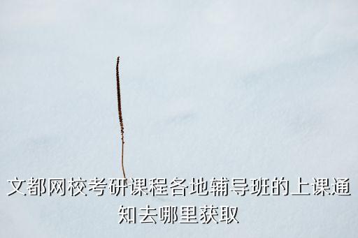 文都网校考研课程各地辅导班的上课通知去哪里获取