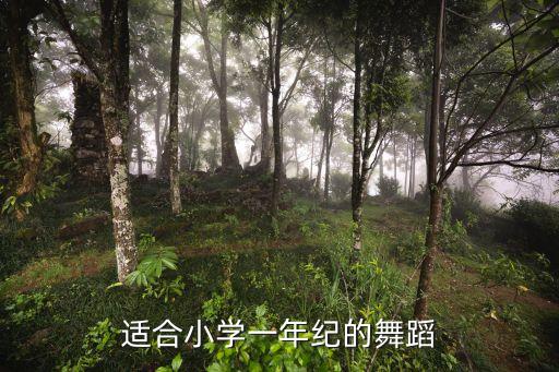 适合小学一年纪的舞蹈