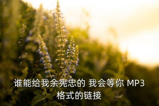 谁能给我余宪忠的 我会等你 MP3格式的链接