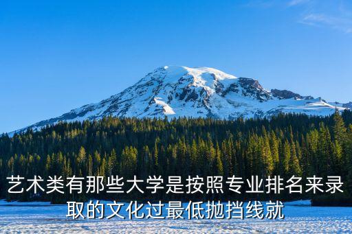2023专过文排的学校艺术类，我是艺术生 校考过了一个排名50名 他是文过专排 有希望吗 如果补录其