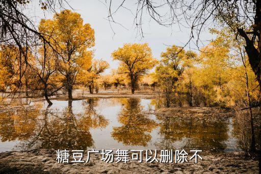 糖豆广场舞可以删除不