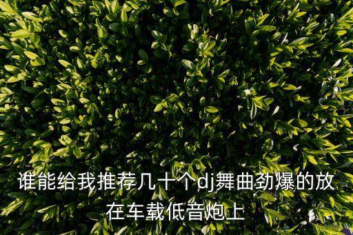 谁能给我推荐几十个dj舞曲劲爆的放在车载低音炮上