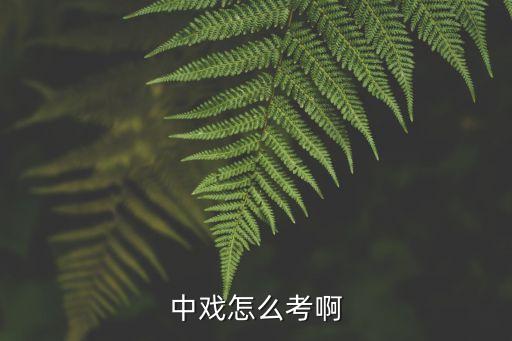 中央戏剧学院怎么考，怎样报考中央戏剧学院