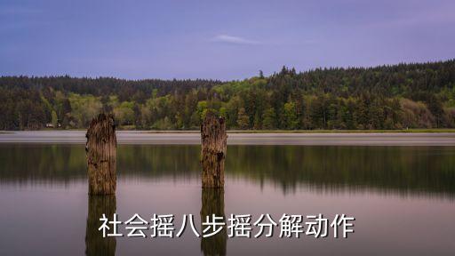 社会摇八步摇分解动作