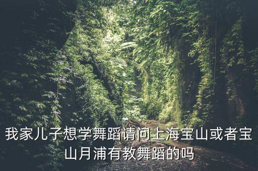 宝山哪里可以学舞蹈，上海宝山哪里有学跳舞的最好是在宝山的有知道的请留下电话谢谢