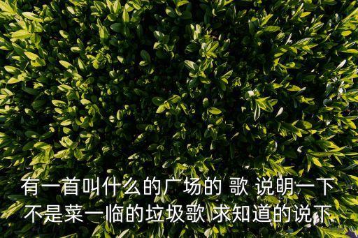 一首俄国歌叫什么广场，有一首叫什么的广场的 歌 说明一下不是菜一临的垃圾歌 求知道的说下