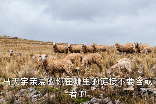 马天宇亲爱的你在哪里的链接不要含或者的