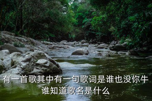 就爱广场舞你牛什么名字，有一首歌其中有一句歌词是谁也没你牛谁知道歌名是什么