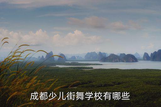 成都少儿街舞学校有哪些