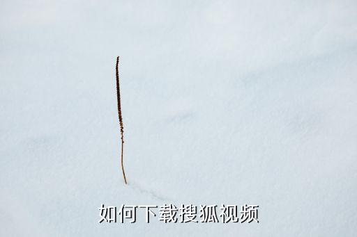 如何下载搜狐视频