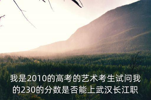 我是2010的高考的艺术考生试问我的230的分数是否能上武汉长江职