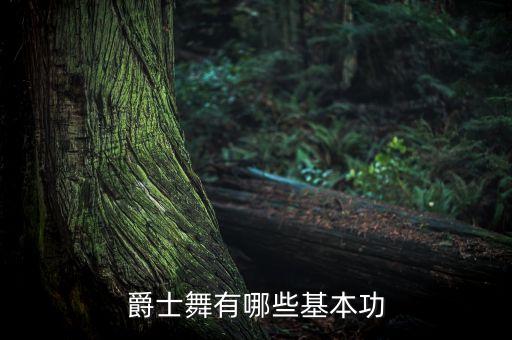 爵士舞有哪些基本功