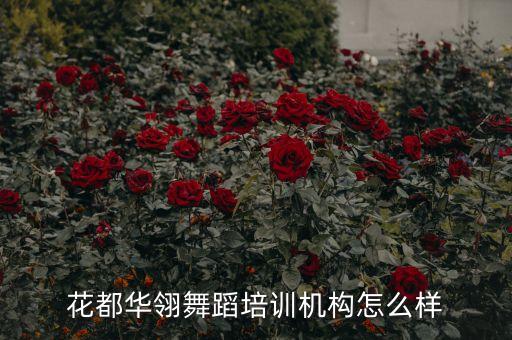 花都华翎舞蹈培训机构怎么样