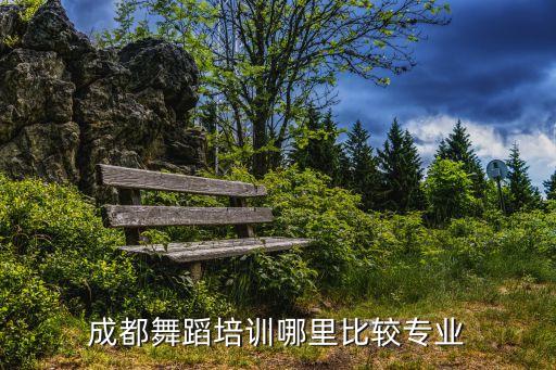 成都舞蹈培训哪里比较专业